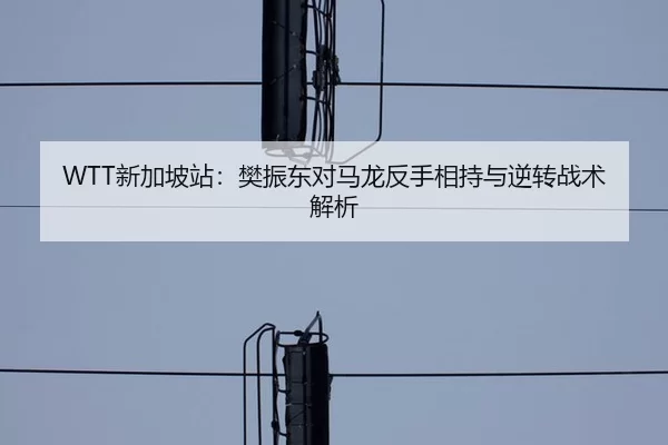 WTT新加坡站：樊振东对马龙反手相持与逆转战术解析